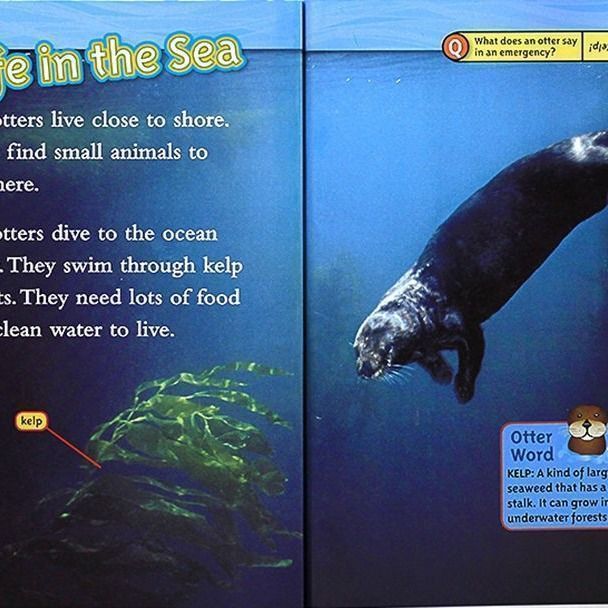 新品未使用 NATIONAL GEOGRAPHIC KIDS READERS LEVEL 2，25冊