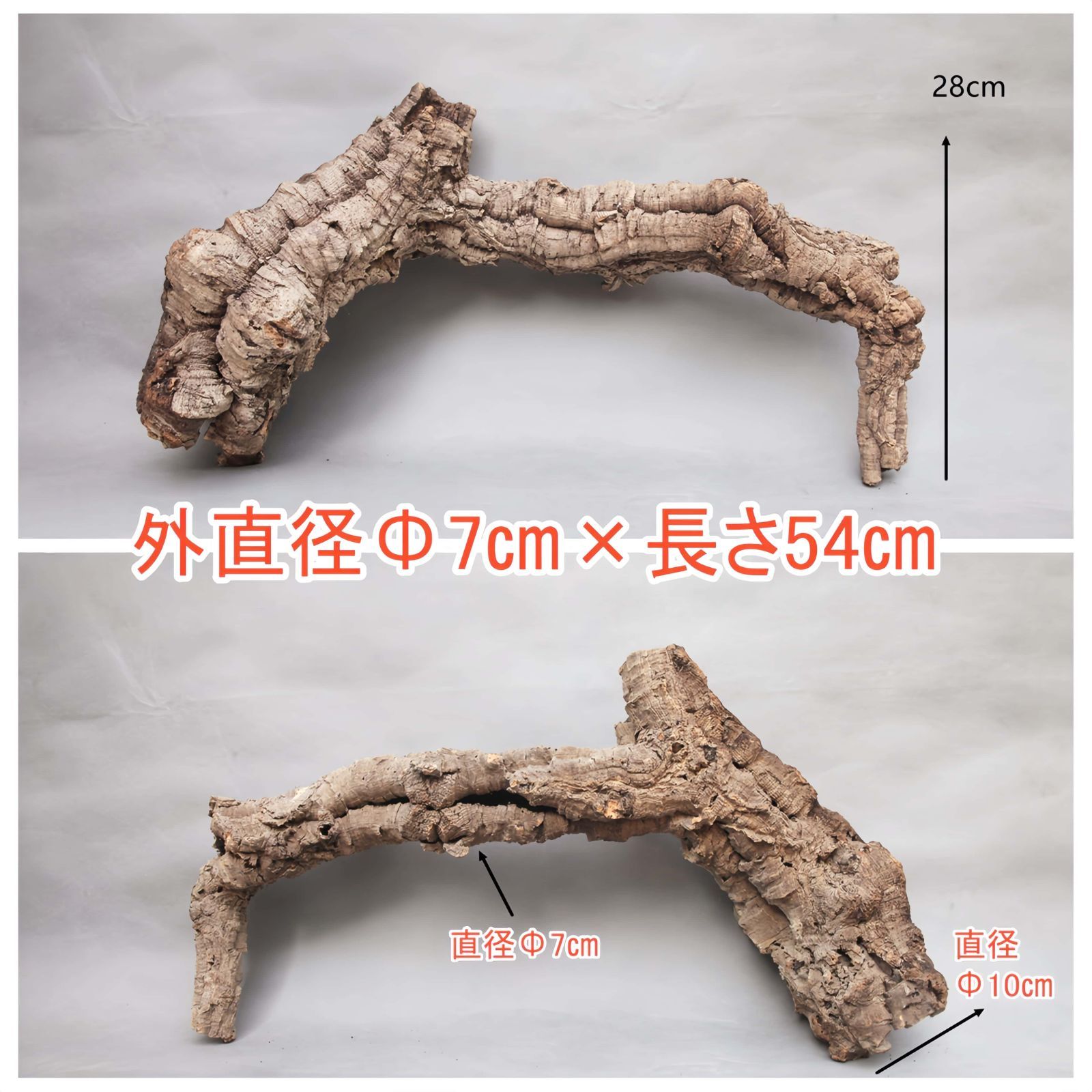 250824 ポルトガル産 キャノンコルク コルク樹皮コルク板　バージンコルク 250824 ポルトガル産 キャノンコルク コルク樹皮コルク板