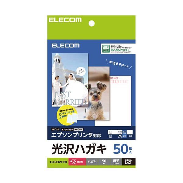 ダイブベイト240 ローカルスタンダード mcワークス ステラSW ソルティガ