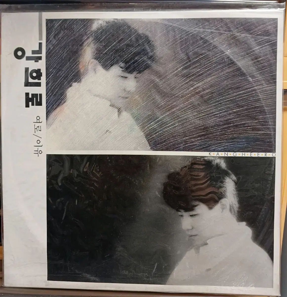 レア 王一博 肖战 肖戦 博君一肖 シールブック2冊等 他カードセット 美