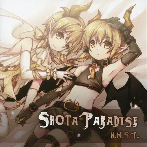 同人音楽CDソフト SHOTA PARADISE | N.M.S.T.