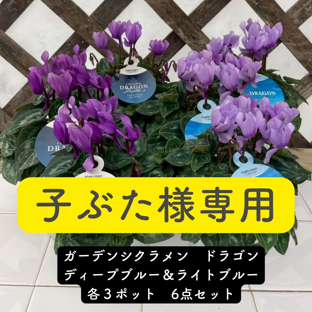 子ぶた様専用ページ