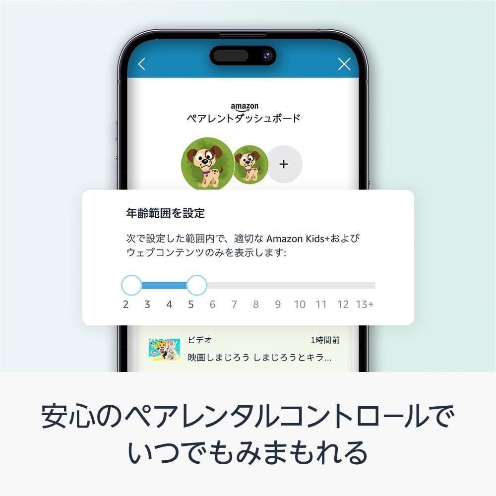 10インチ