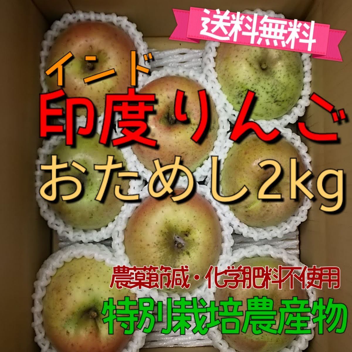 （12月下旬より）印度りんご箱込2kg【特別栽培・JGAP認証】