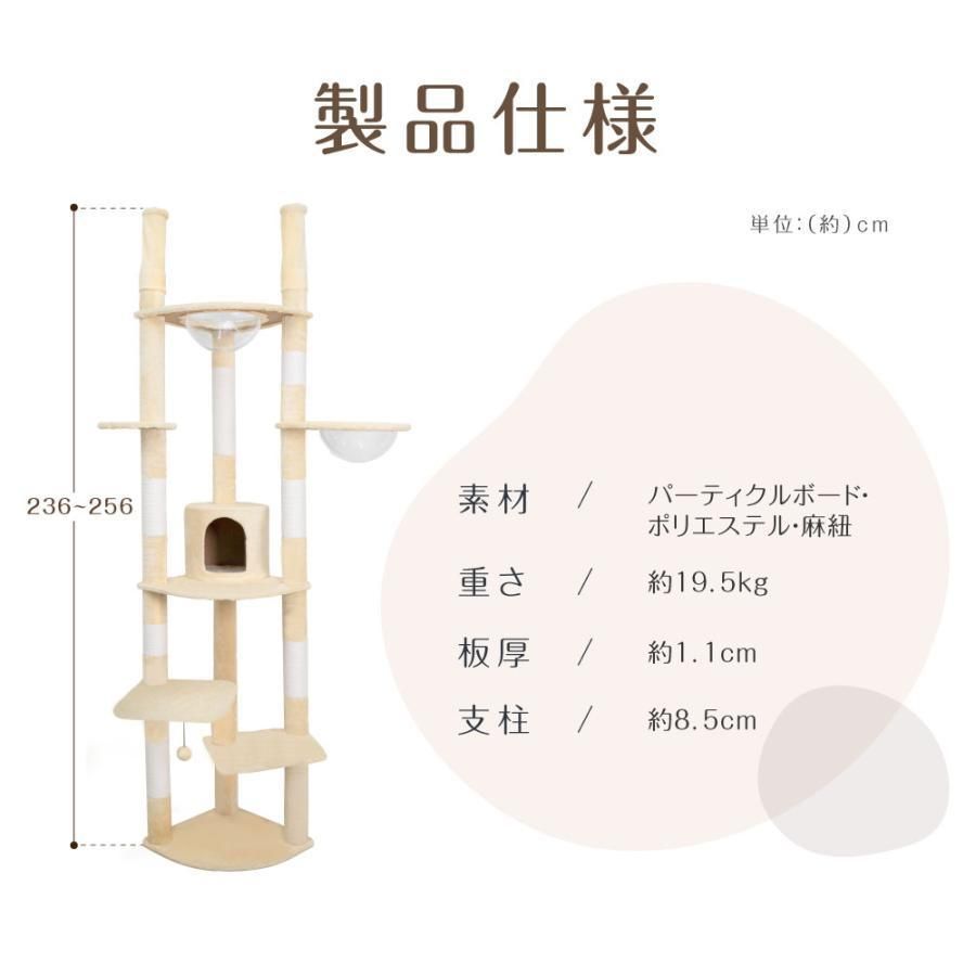 爪とぎ