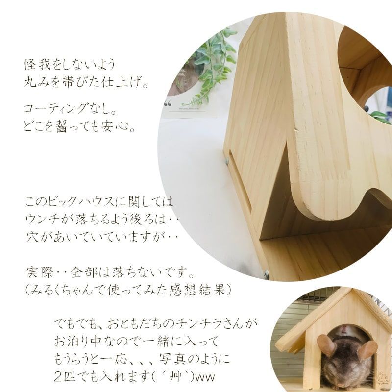 リス