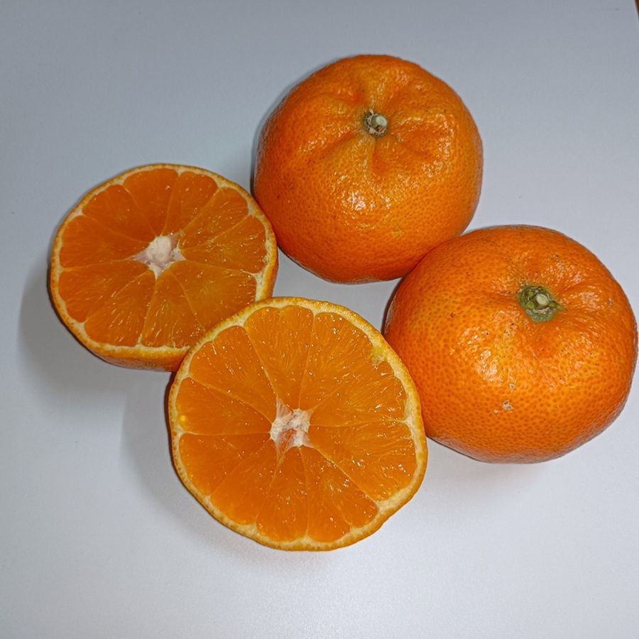 希少】マコポン 2kg 和歌山県産 新品種みかん - メルカリ