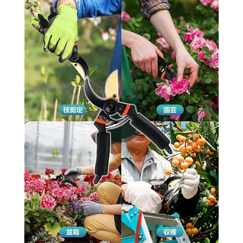 本成寺昇 盆栽 植木鋏 本成寺昇 220m/m 植木鋏(庭師