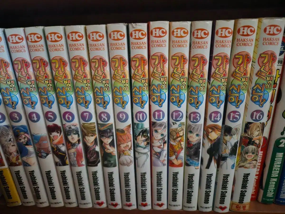 三上亨 額もこだわりの額で馬の油彩です 2024 三上亨 額もこだわりの額