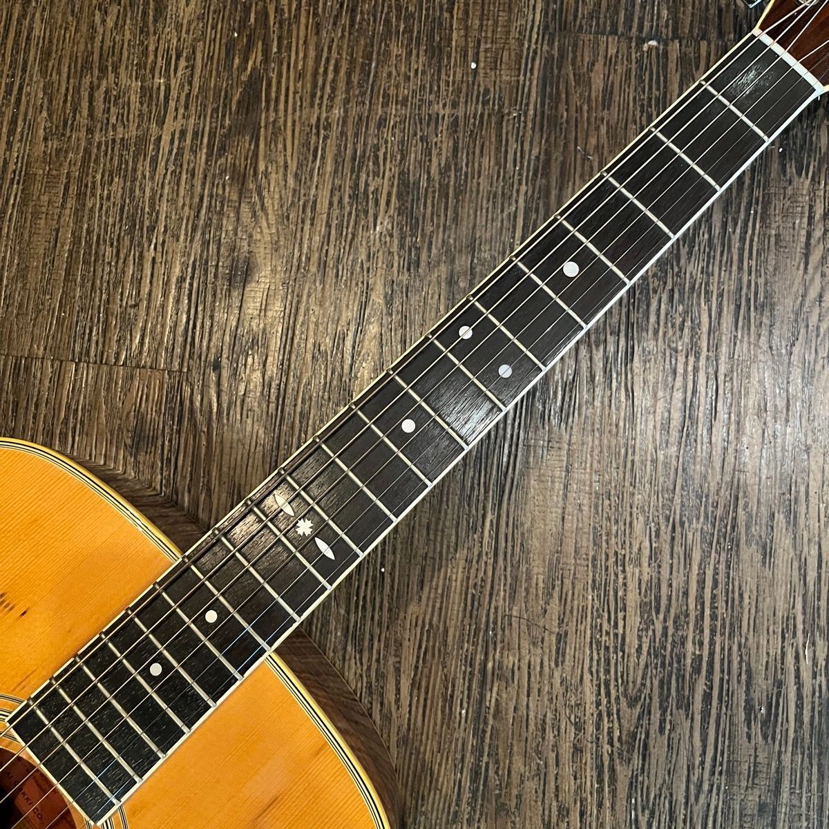 【送料無料】Cat's Eyes アコースティックギター　CE-250 Cat's Eyes CE-250 Acoustic Guitar アコースティックギター