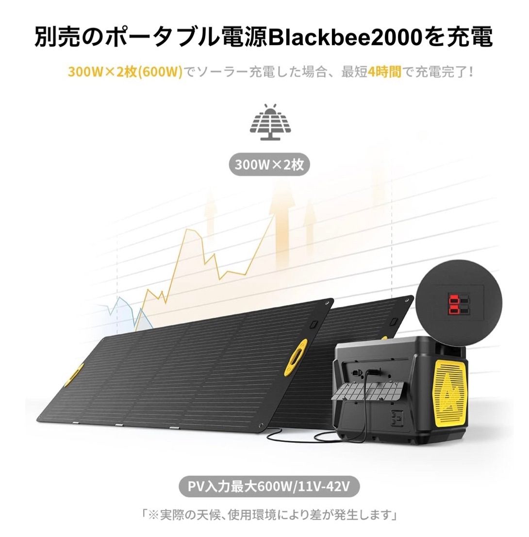  一部地域除き 超大容量 2200 Whポータブル電源 AlphaESS Blackbee 2000 とソーラーパネルSP 300 のセット販売 家庭用蓄電池 ポータブルバッテリー 停電対応 防災用品 弦波 非常用セット 発電機 ポータブル電源 防災関連グッズ