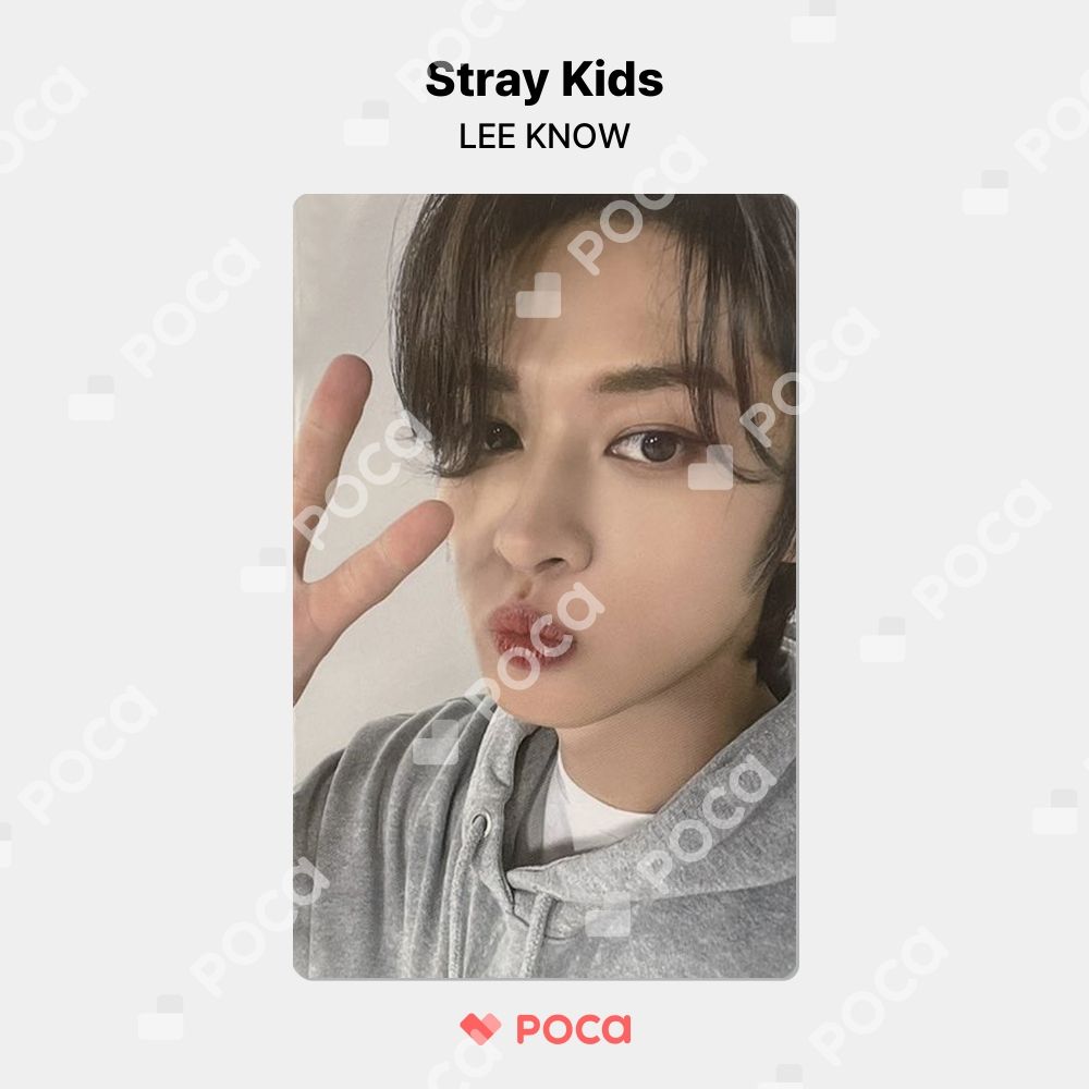 straykids リノ】スキズ (5-STAR) SOUNDWAVE ラキドロ 公式