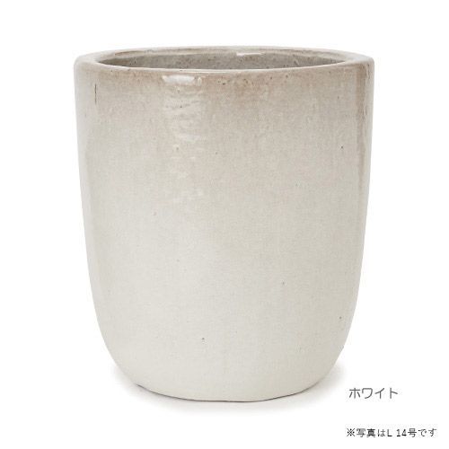 穴あり ホワイト