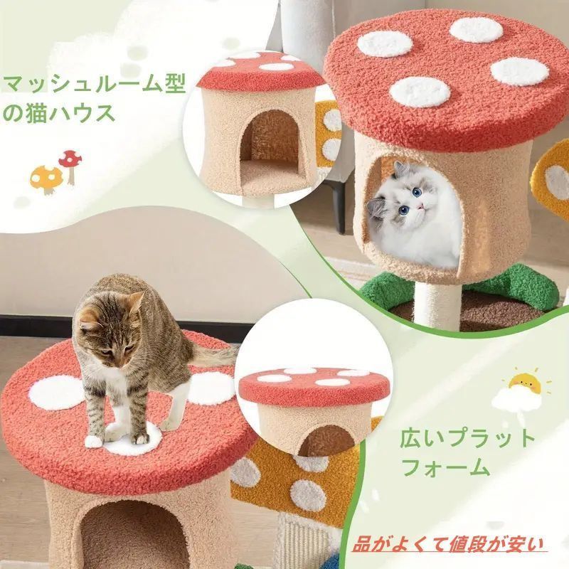 カラフル きのこ