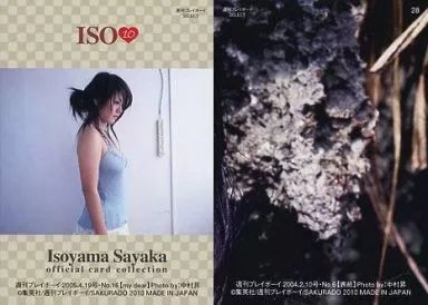 中古】コレクションカード(女性) No.28 ： 磯山さやか