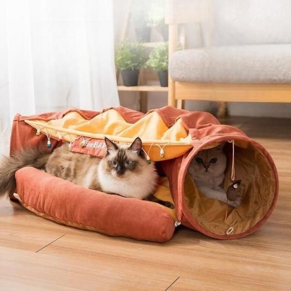 猫トンネル