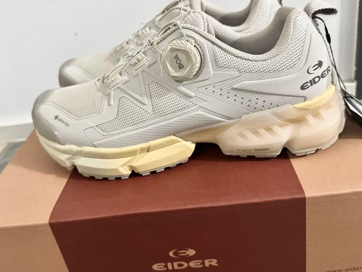 EIDER アイダー GORE-TEX ゴアテックス 登山靴 250