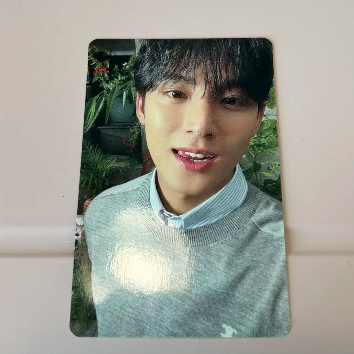 SEVENTEEN(セブンティーン・セブチ) ミンギュ(MINGYU) 有効期限 通常版 standard