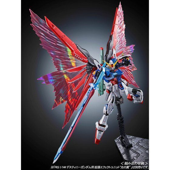 RG 1/144 デスティニーガンダム チタニウムフィニッシュ