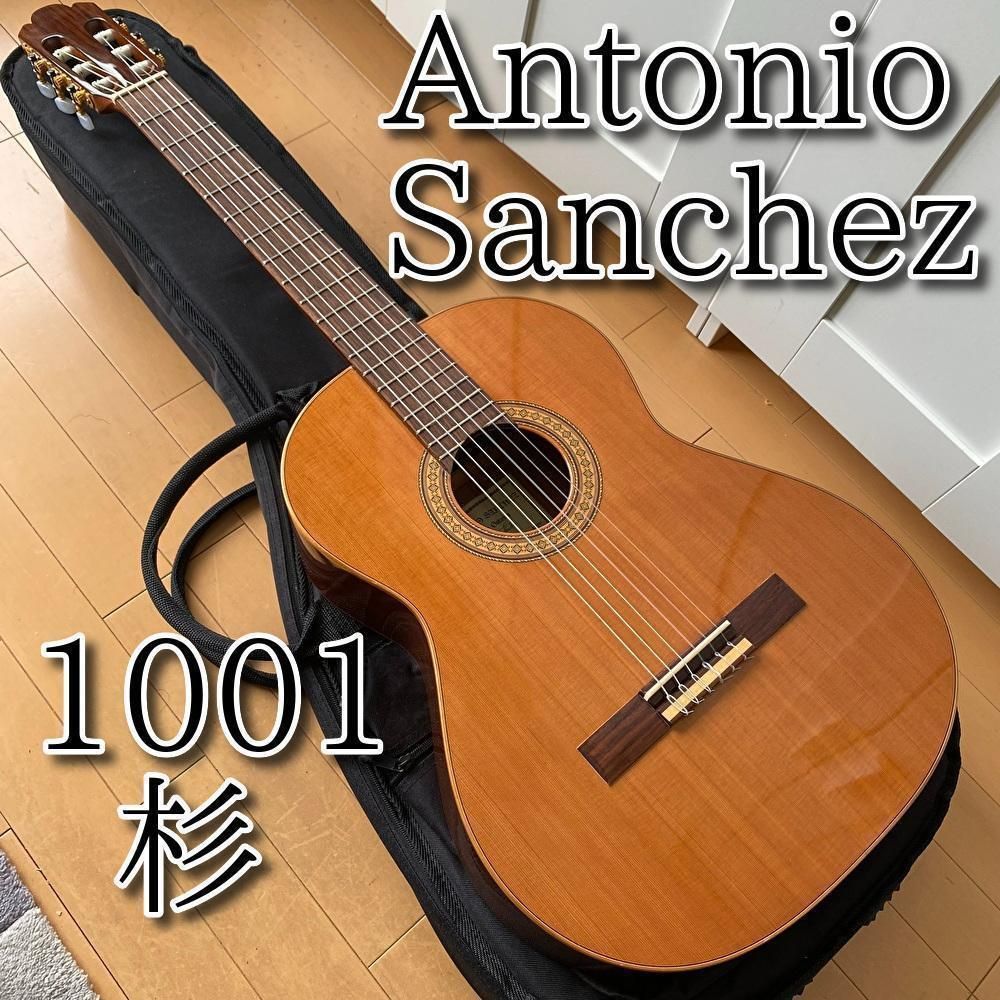 名器・美品】 Antonio Sanchez 1001 杉 1999年製 - アコースティックギター
