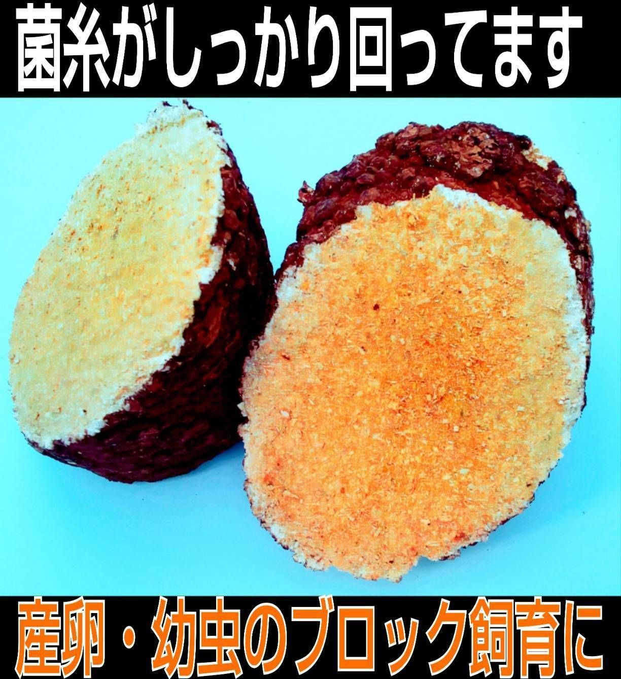 送料無料！椎茸廃菌床4ブロック☆カブトマットに埋め込み栄養強化！クワガタ産卵木に - メルカリ