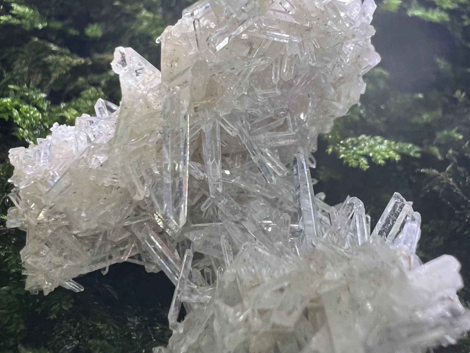 龍脈の精髄 ― 針状クラスター 透明なる守護 保護猫活動支援