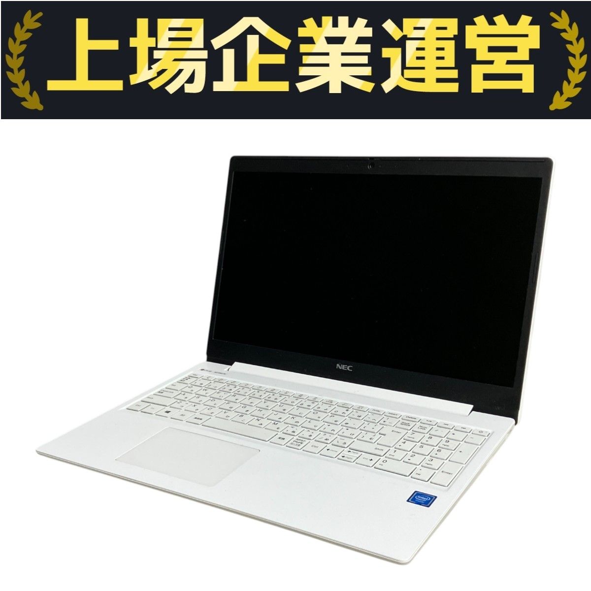 NEC LAVIE Note Standard PC-NS100N2W-H6 15.6インチ ノート