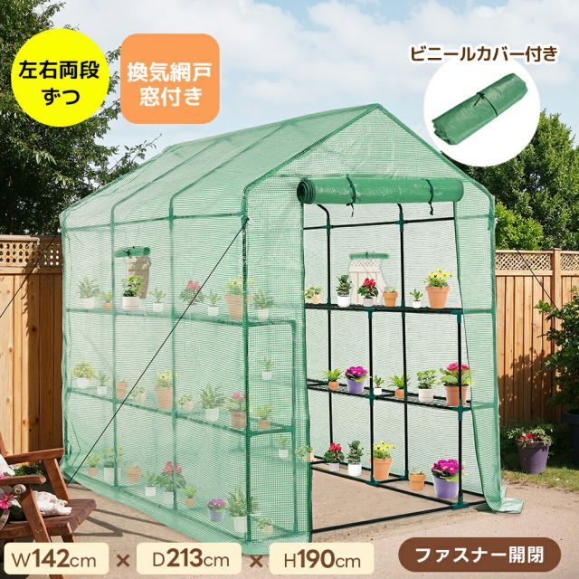 パキポディウム グラキリス Pachypodium Gracilius 実生2年苗 ダブル