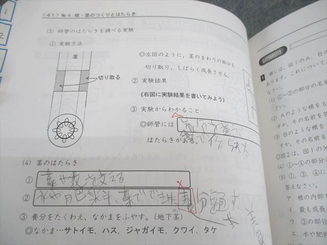 浜学園 小5 理科 サイエンス 第1～3分冊 通年セット 2023 計3冊 049M2D