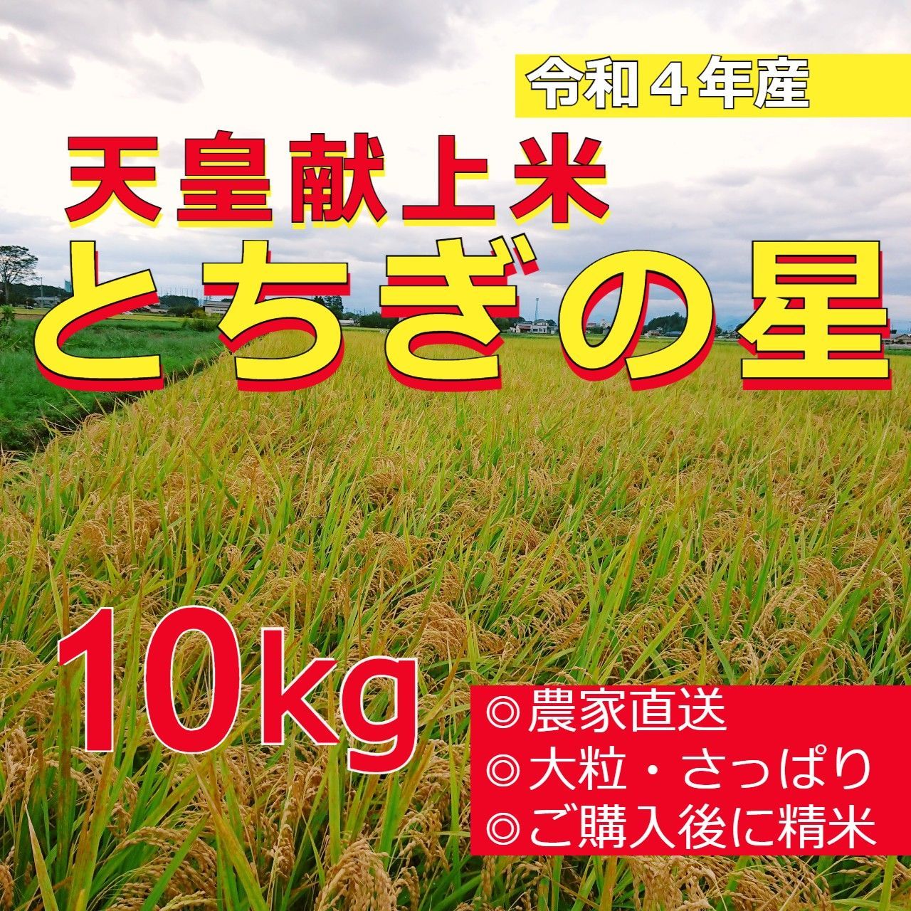 令和４年産「とちぎの星」10kg 農家直送 - メルカリ