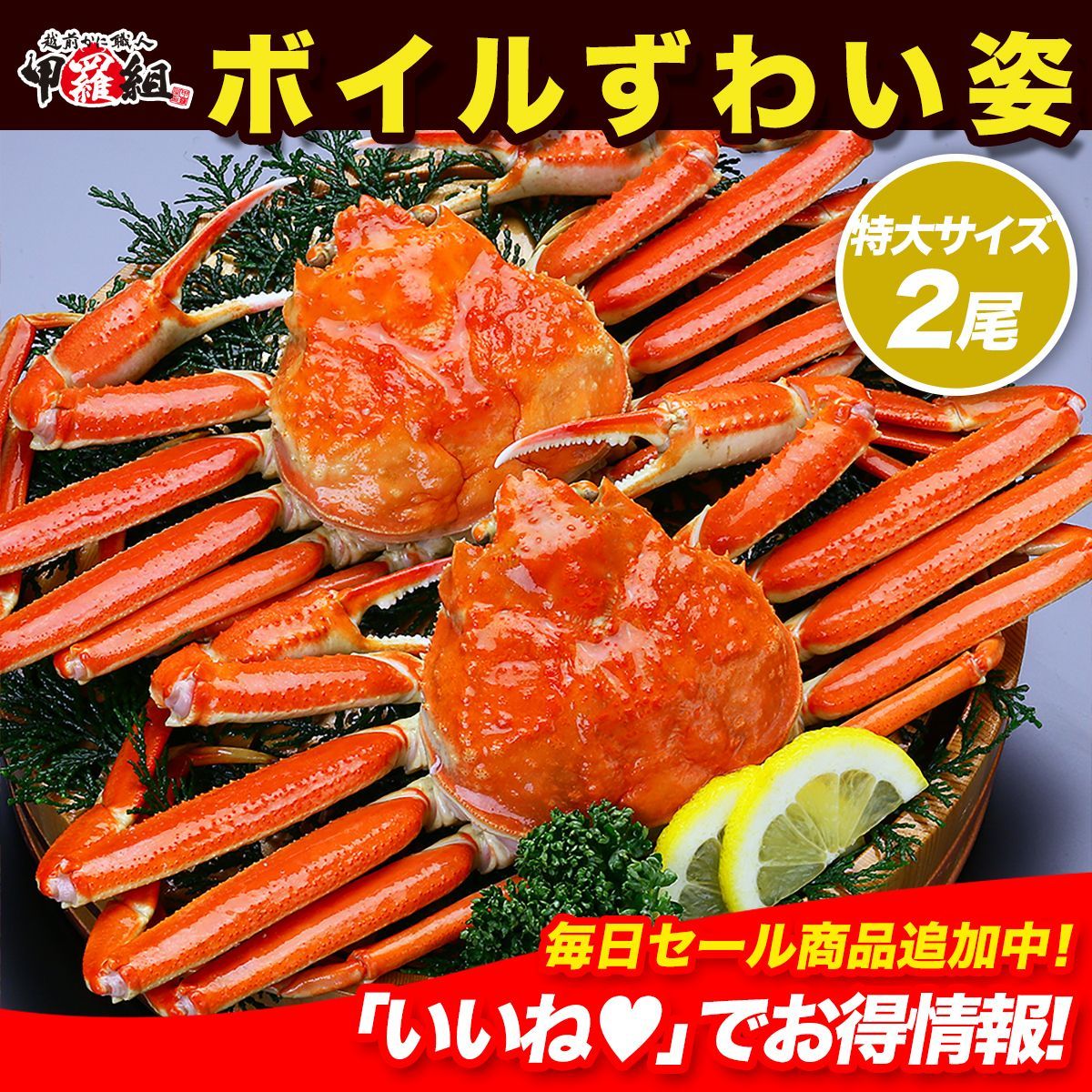 甲羅組 な特大サイズを厳選 ボイルずわいがに姿1.5kg 750g前後×2ハイ ズワイガニ かに カニ 足 爪 かにみそ カニミソ 取り寄せ ギフト