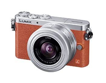 DMC-GM1 Panasonic LUMIX （中古品） オンライン