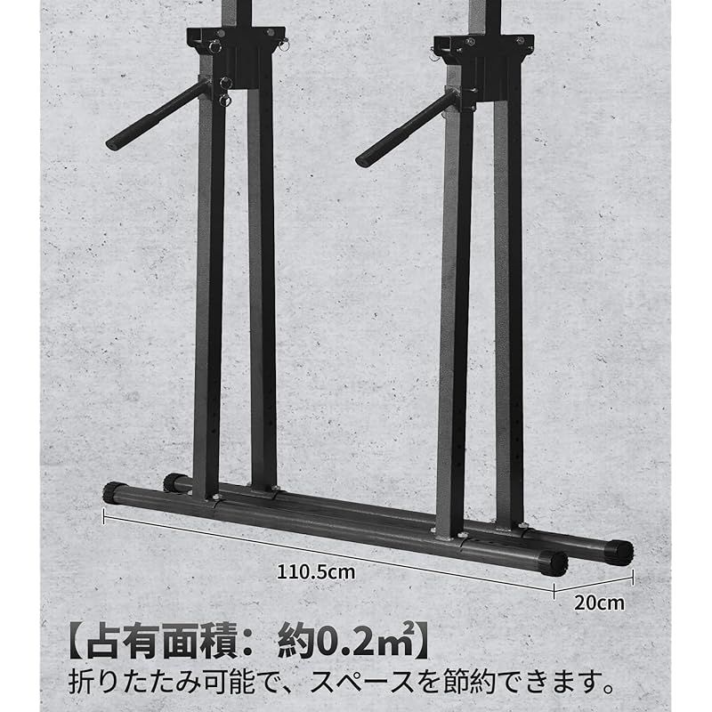 ディップスス 筋力