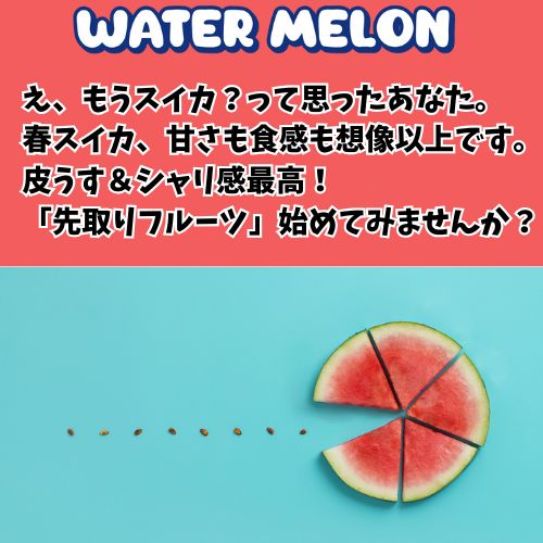 熊本県産 スイカ