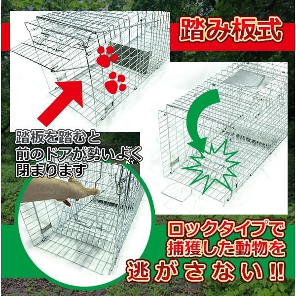 動物捕獲器 300ｘ380ｘ900 ｍｍ 小動物 キャッチャー (大) アニマルトラップ トラップゲージ 罠 折りたたみ 害獣 駆除 ロックタイプ -  メルカリ