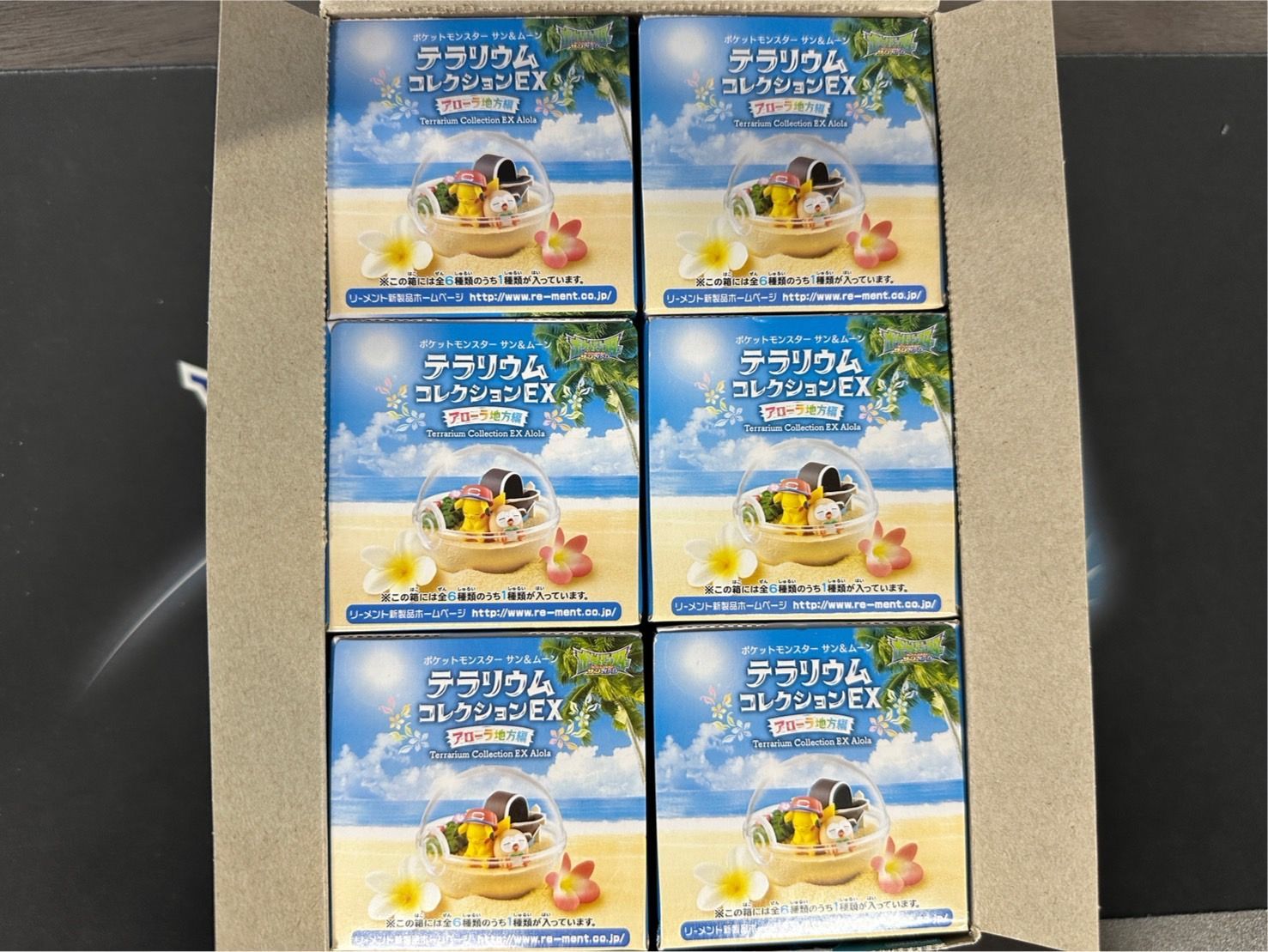 テラリウムコレクションEX アローラ地方編 未開封BOX6個セット