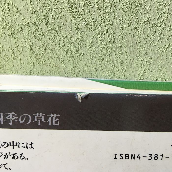 初版『松本キミ子のフィールド・ノート 三原色で描く四季の草花』 1993年 山海堂 草花 アート スケッチ - メルカリ