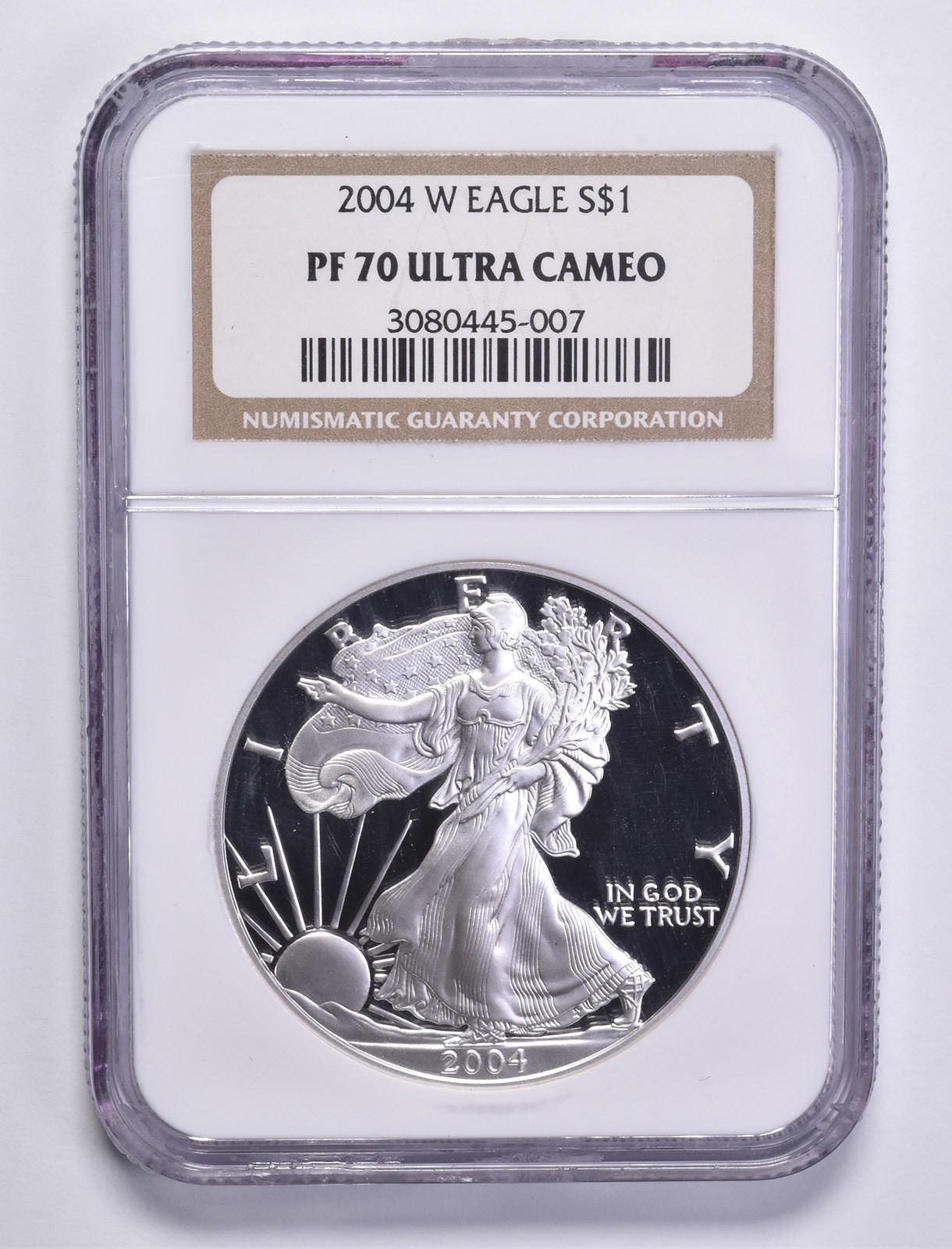 PF70 2004年 アメリカン シルバー イーグル 1オンス NGC グレーディング ブラウンラベル