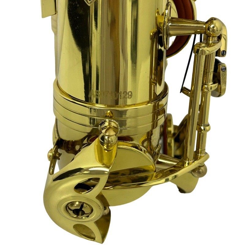 SELECTION セレクション