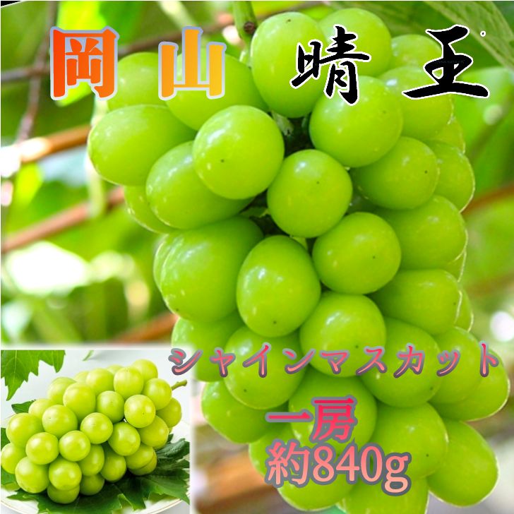 岡山 シャインマスカット 晴王 特秀品 1房 約840g以上 御中元 葡萄