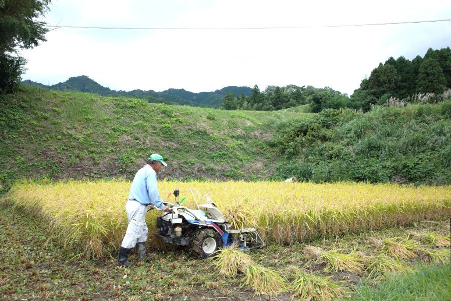 農家 響さん】（島根県仁多郡奥出雲町）の仁多米（減農薬・30kg