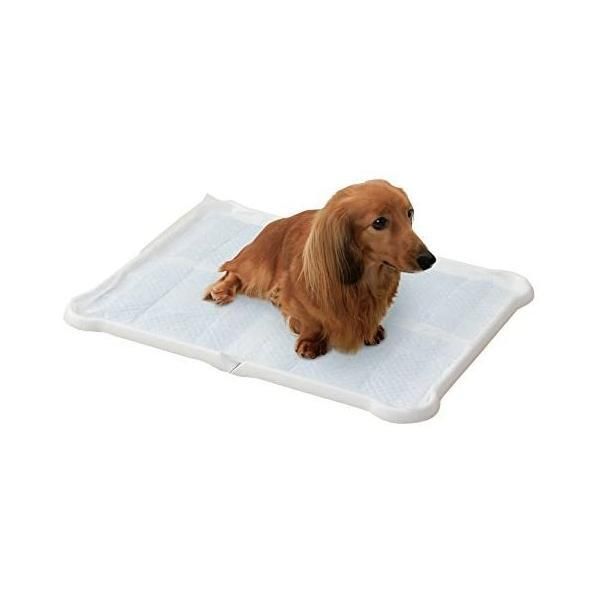 ナポレオンヒル、フルセット、成功プログラム、 PMA パート1、2セット.SSI