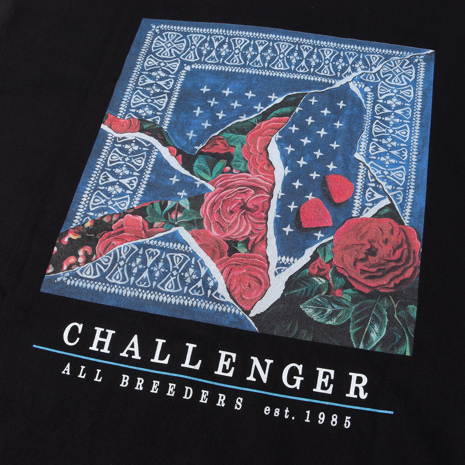 美品 CHALLENGER チャレンジャー Tシャツ サイズ:XXL 22AW ローズ