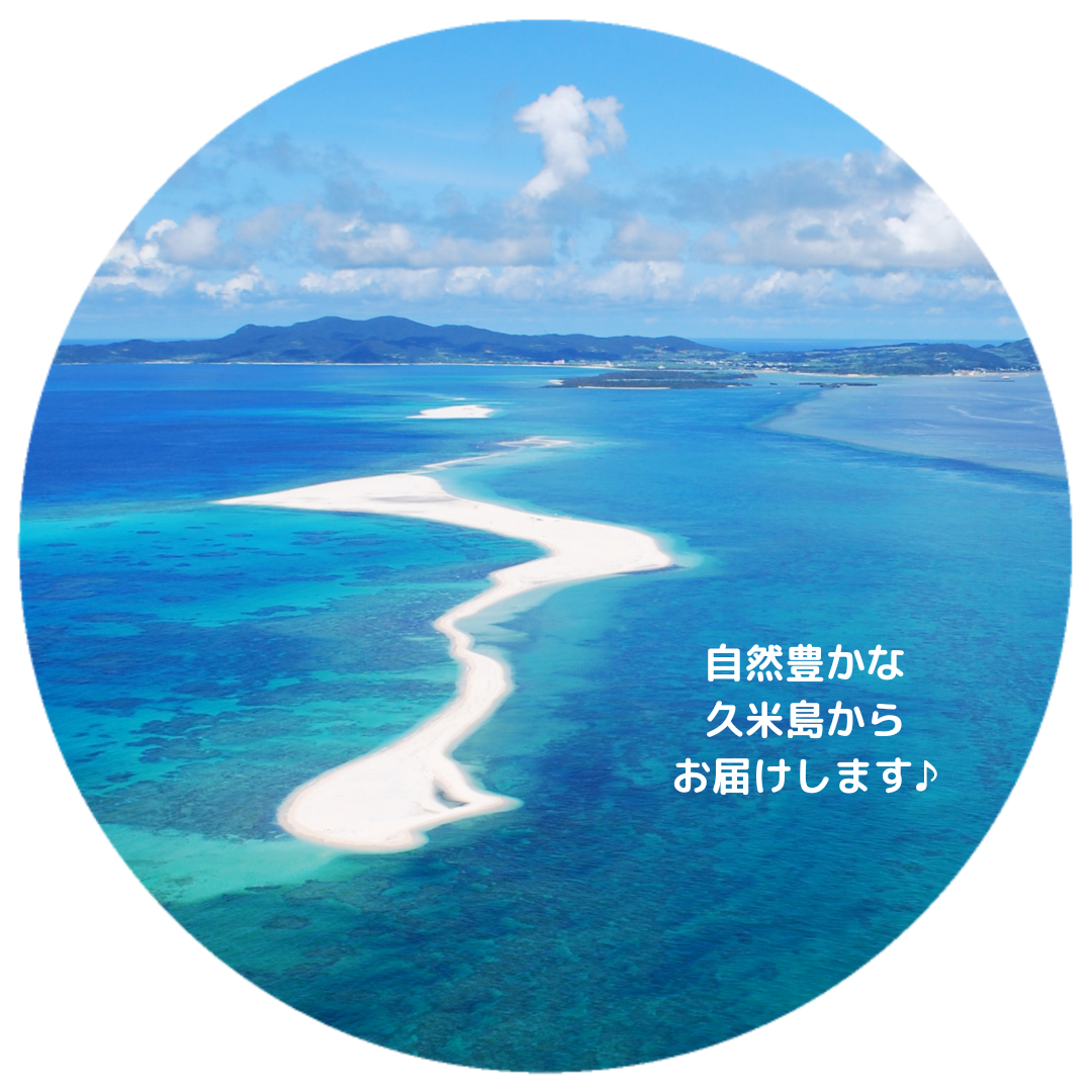 久米島産直　島らっきょう【お試し】300g