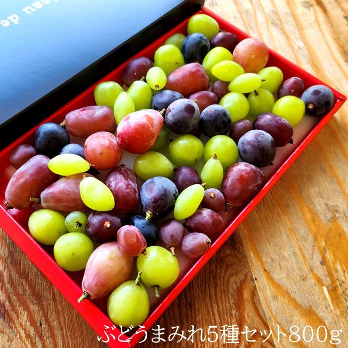 葡萄⑤種類詰め合わせ‼︎