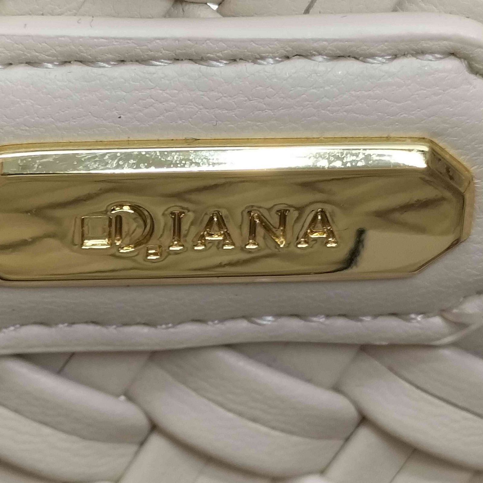 ダイアナ DIANA メッシュミニバッグ2way レディース 表記無