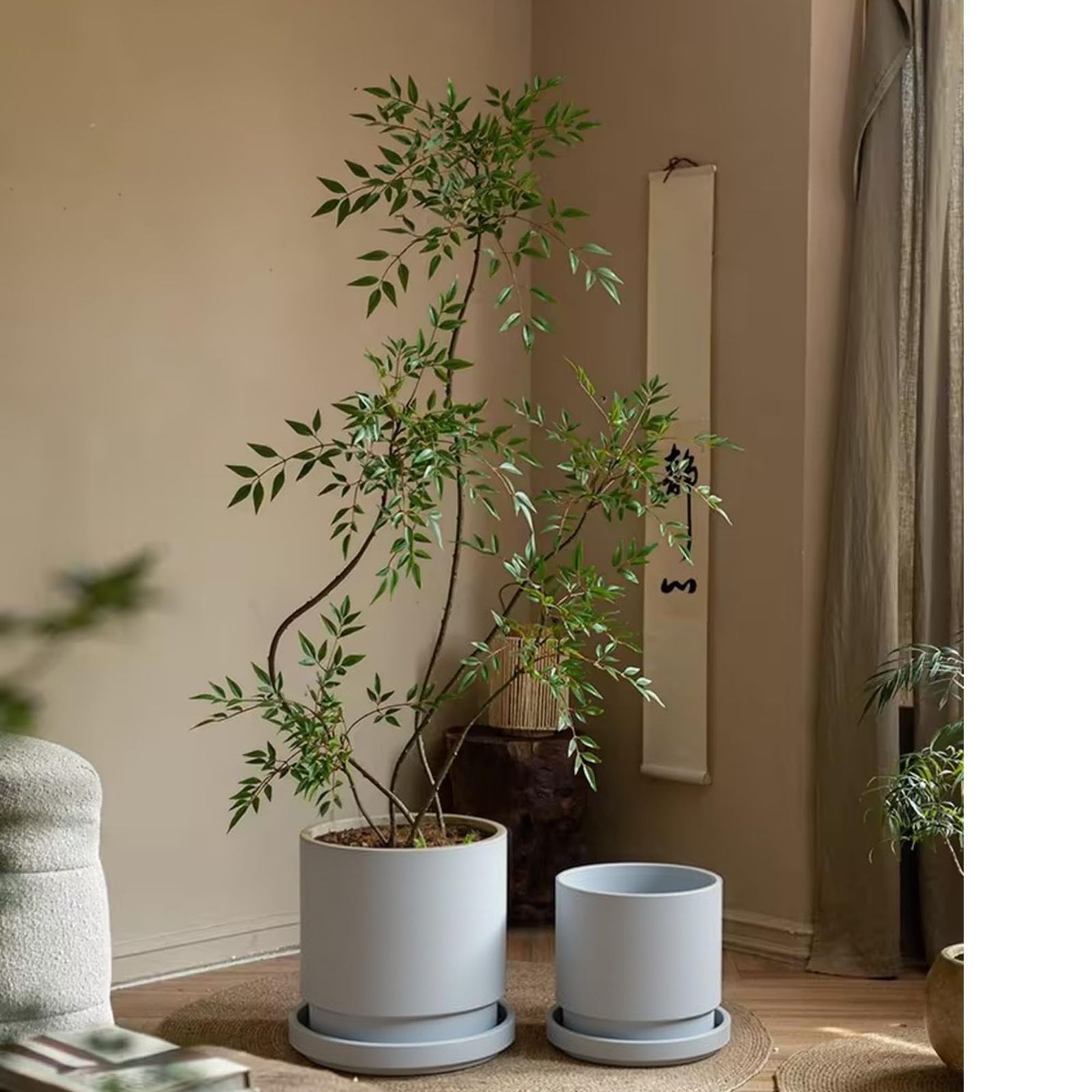 植木鉢 新品 Greenship 植木鉢 受け皿付き 7号（φ21CM） マット質感な