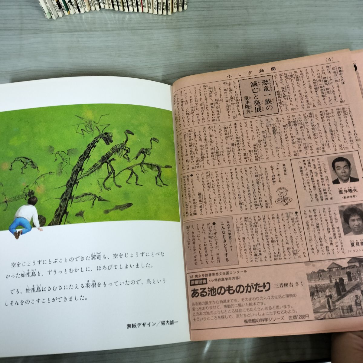 計29冊 月刊 たくさんのふしぎ 1987〜92年 1990.91年揃い 福音館書店 090070 計29冊 月刊 たくさんのふしぎ 1987～92年 1990.91年揃い 福音館