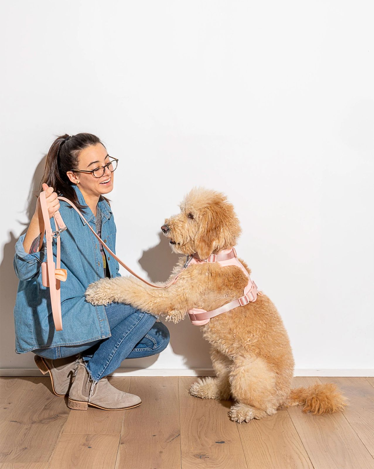 ダミエデザイン 小型犬 首輪 リード セット アズール 犬 用 ハーネス