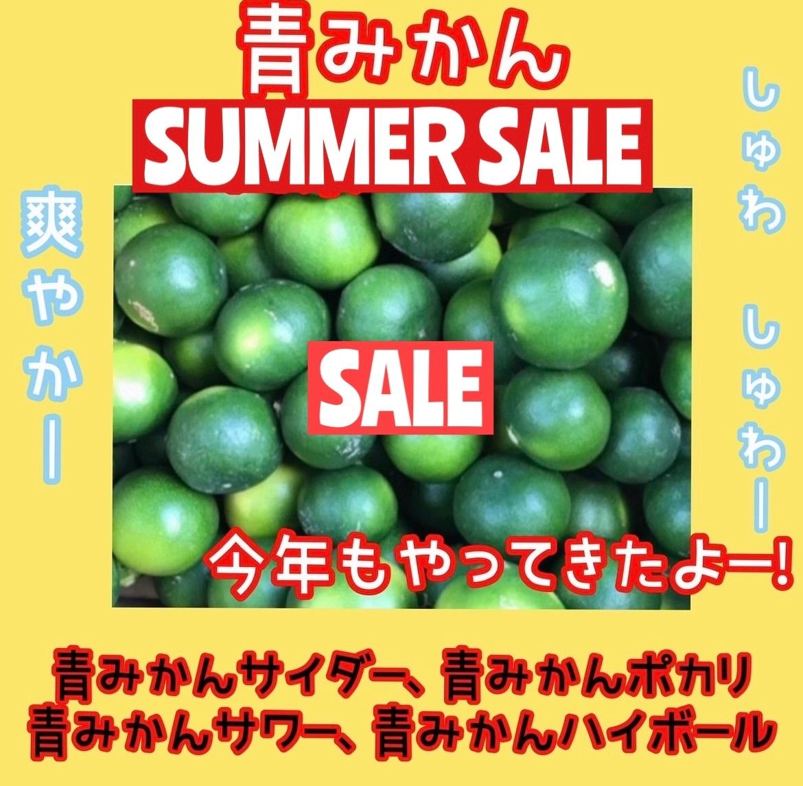 摘果みかん(青みかん)